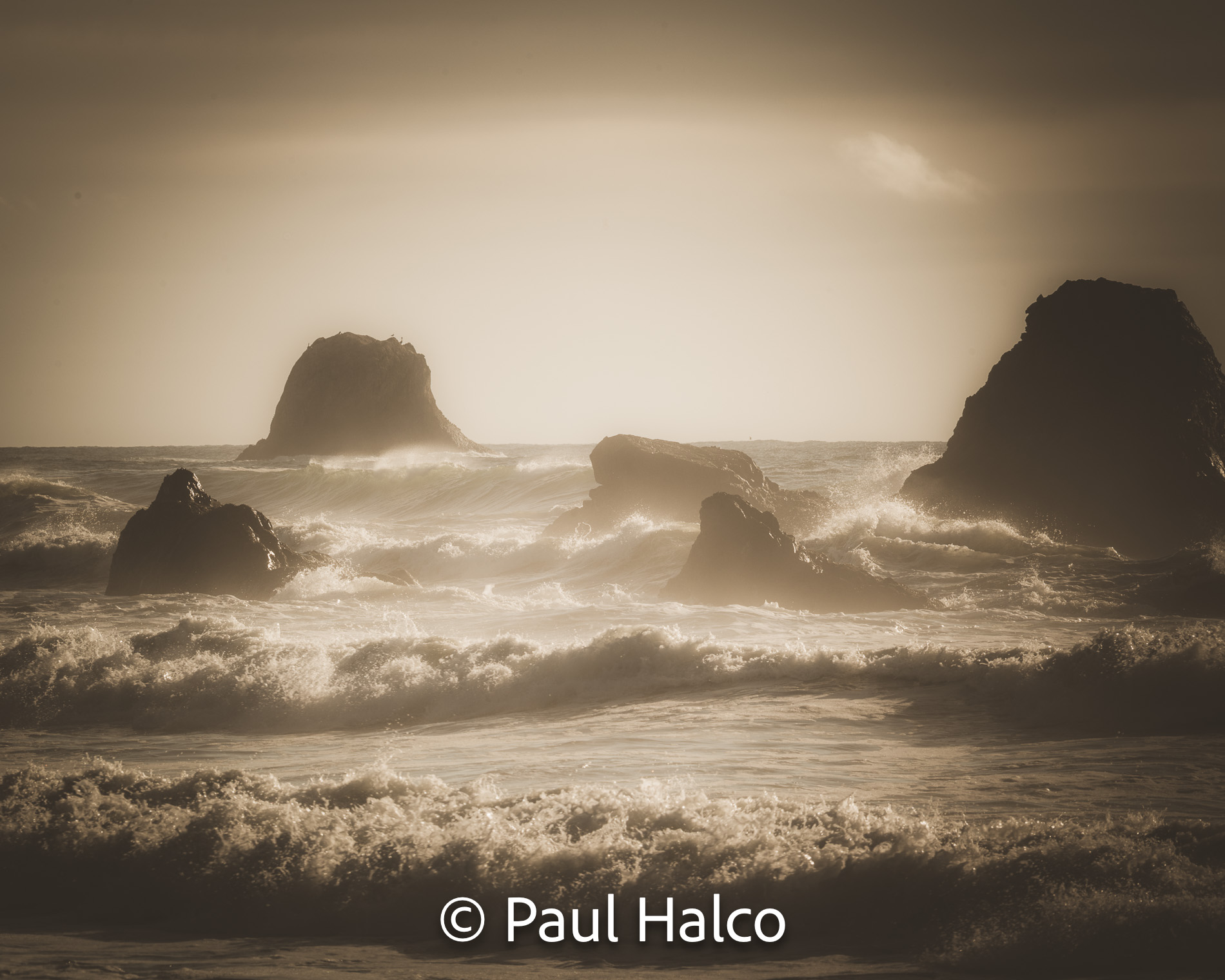 Paul Halco - Olympus NP-13